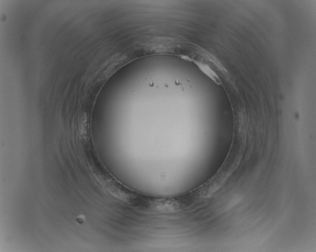 X0000073720073200608241242