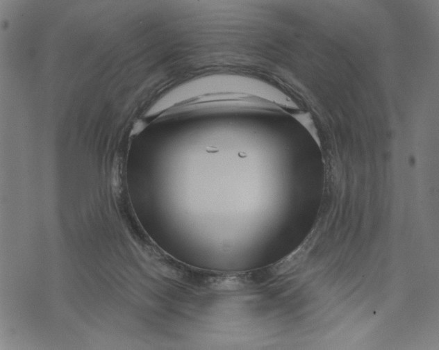 X0000073720074200608241242