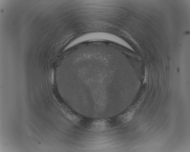 X0000073720076200608241242