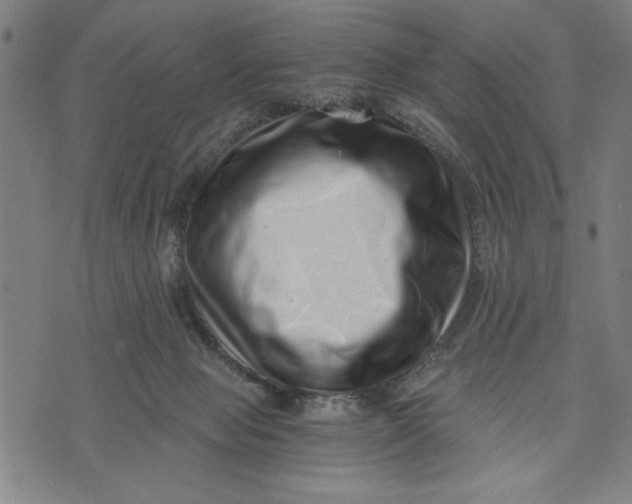 X0000073720077200608241242