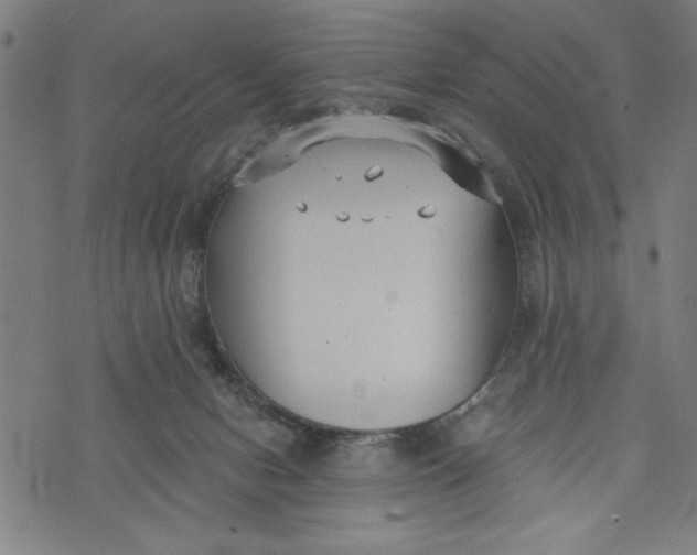 X0000073720078200608241242