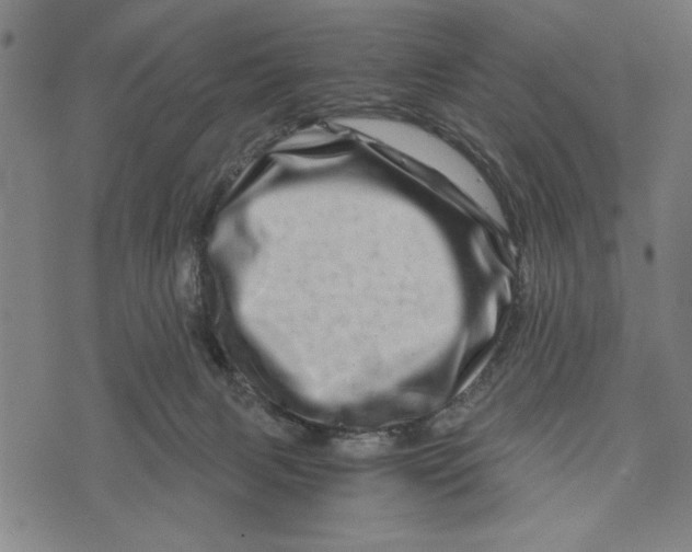 X0000073720079200608241242