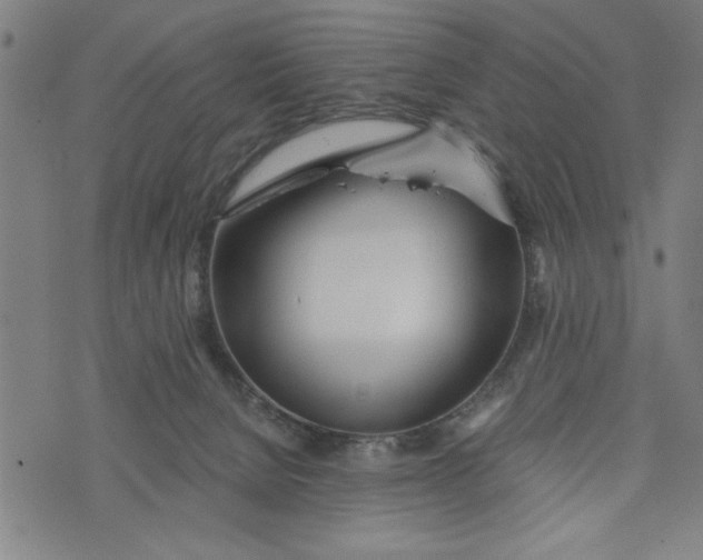 X0000073720080200608241242