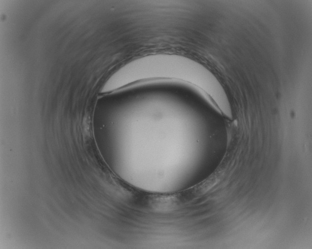 X0000073720081200608241242