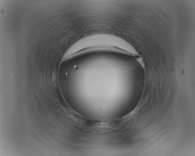 X0000073720082200608241242