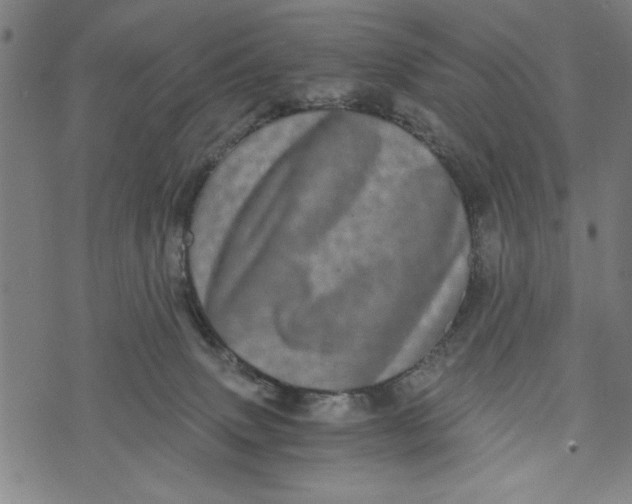 X0000073720083200608241242