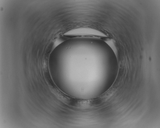 X0000073720084200608241242