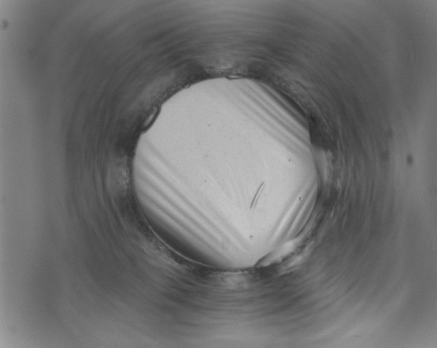 X0000073720085200608241242