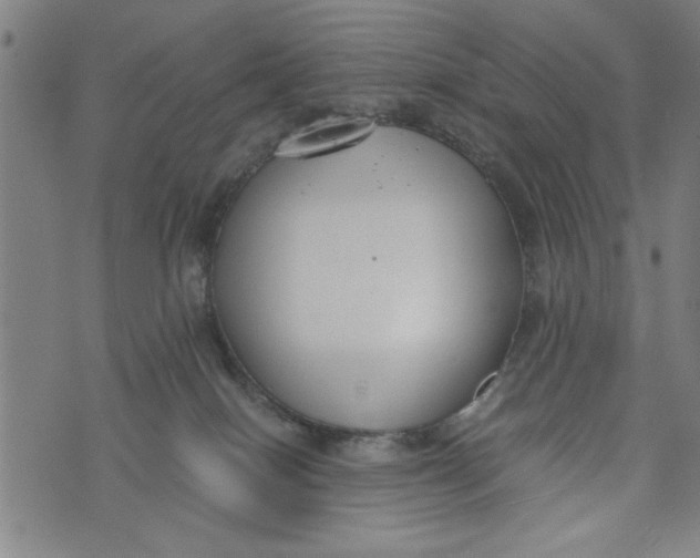 X0000073720086200608241242