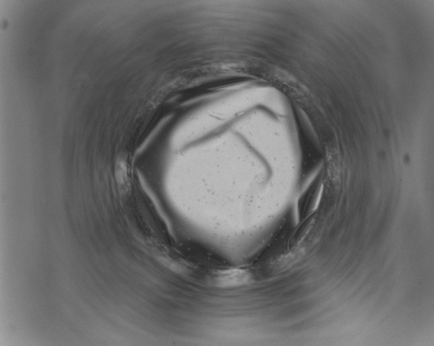 X0000073720087200608241242