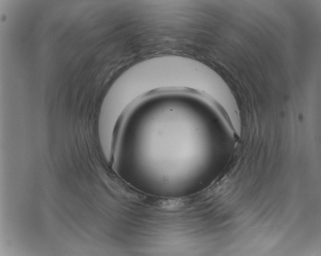 X0000073720088200608241242