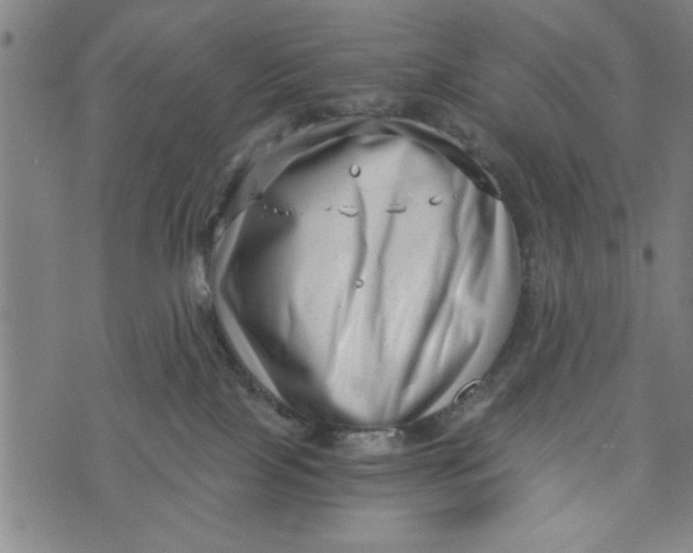 X0000073720089200608241242