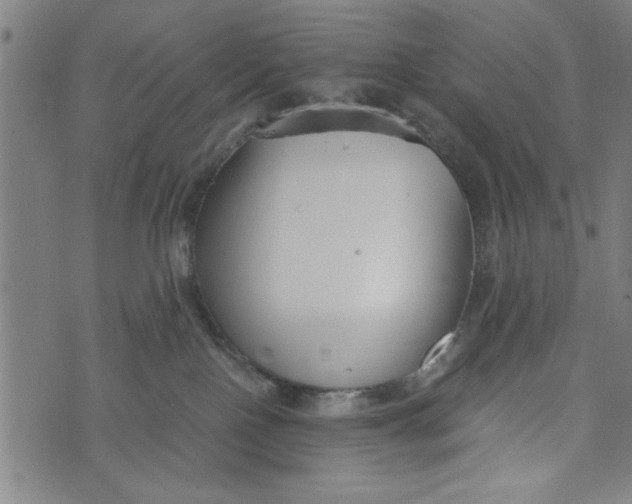 X0000073720090200608241242