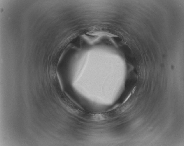 X0000073720091200608241242