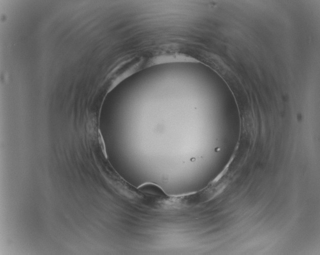 X0000073720092200608241243