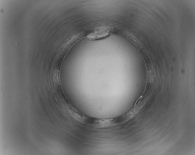 X0000073720093200608241243