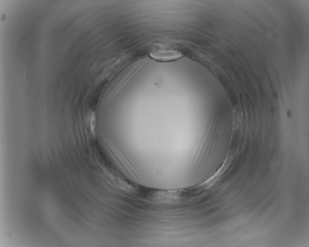 X0000073720094200608241243