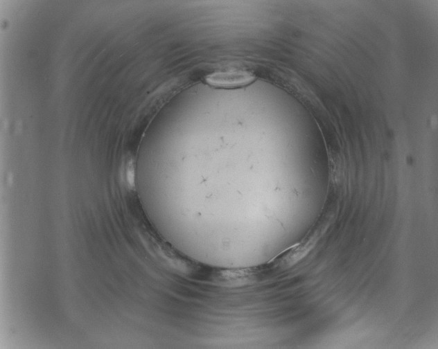 X0000073720095200608241243