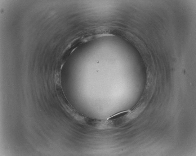 X0000073720096200608241243