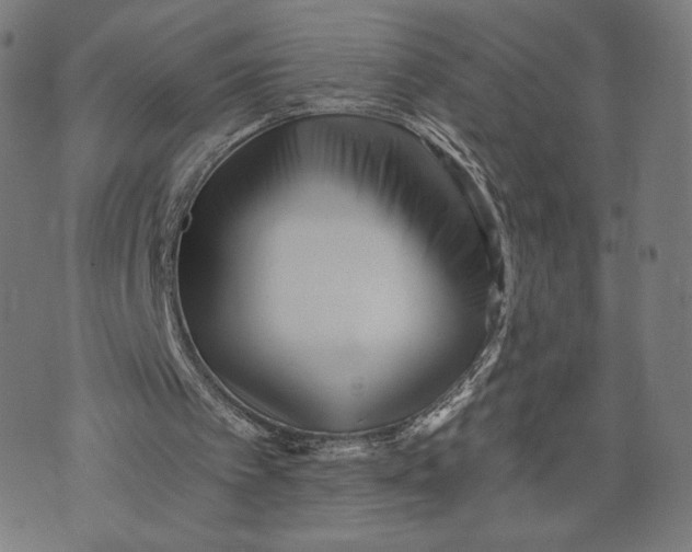 X0000073720097200608241242