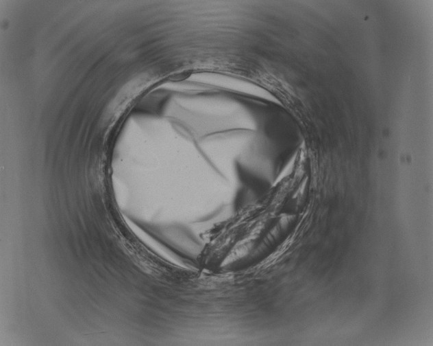 X0000073720098200608241242