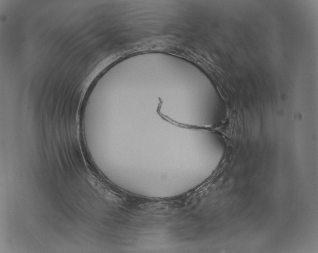 X0000073720100200608241242