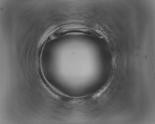 X0000073720101200608241242