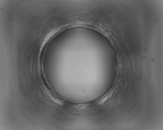 X0000073720102200608241242