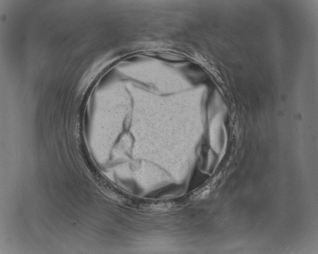 X0000073720103200608241242