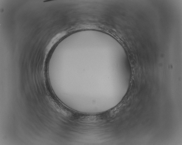 X0000073720104200608241242