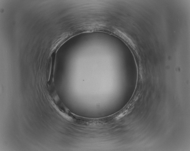 X0000073720105200608241242