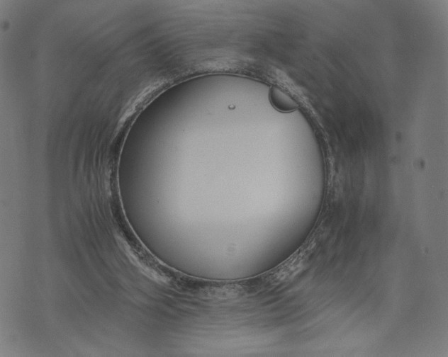 X0000073720106200608241242