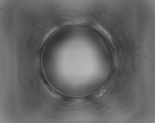 X0000073720107200608241242