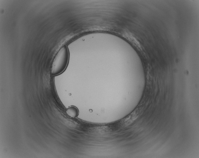 X0000073720108200608241242