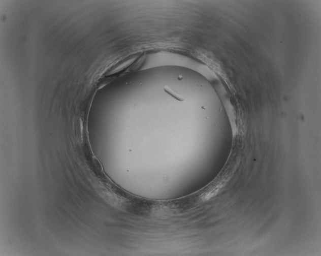 X0000073720109200608241242