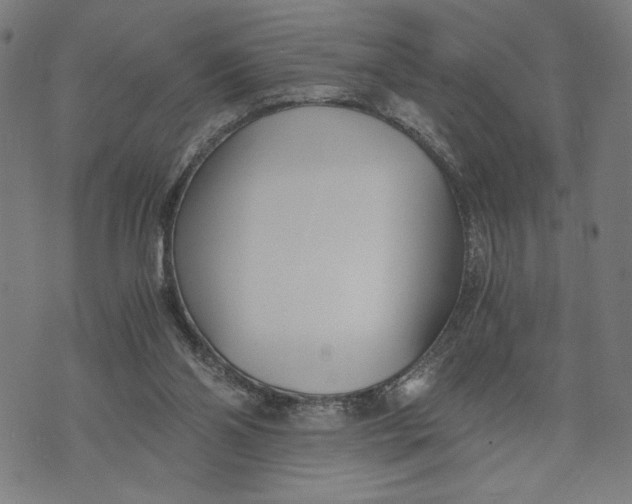 X0000073720110200608241242