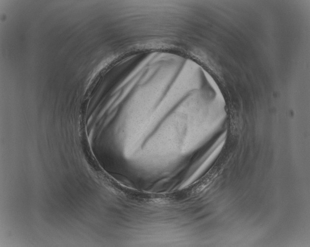 X0000073720111200608241242