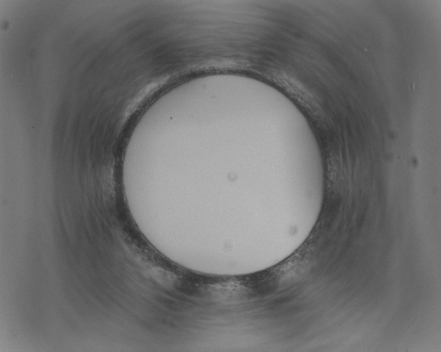 X0000073720112200608241242