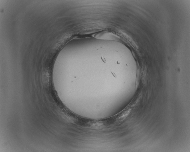 X0000073720113200608241242