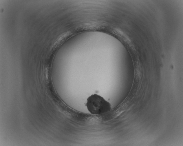 X0000073720115200608241242