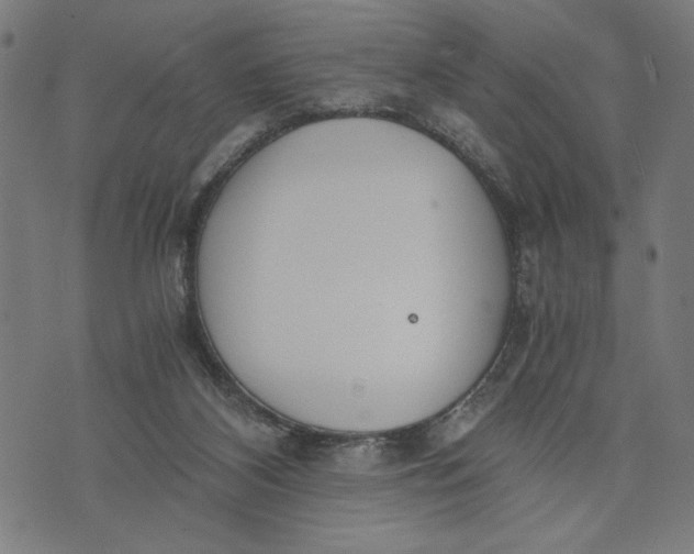 X0000073720116200608241241