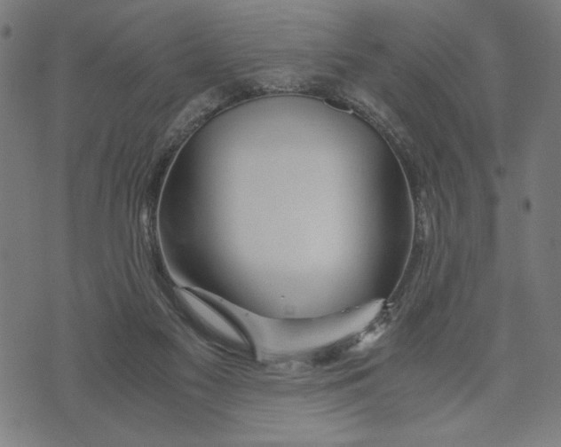 X0000073720117200608241241