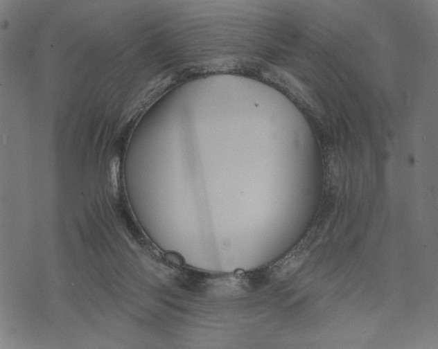 X0000073720118200608241241