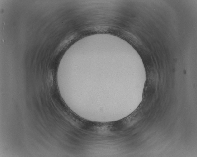 X0000073720120200608241241