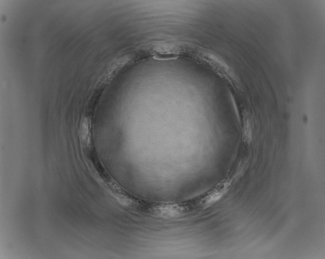 X0000073720121200608241241