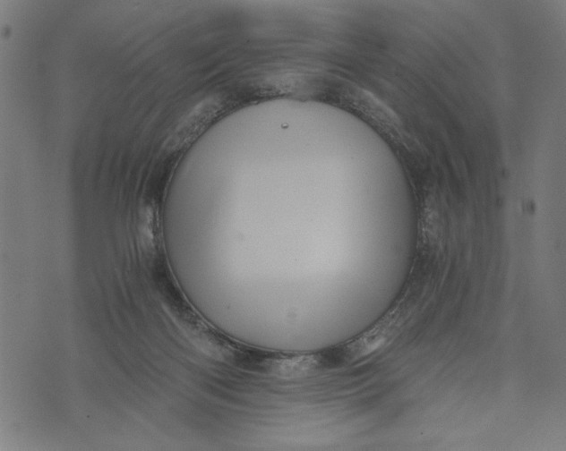 X0000073720122200608241241