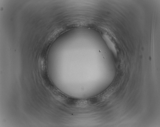 X0000073720123200608241241