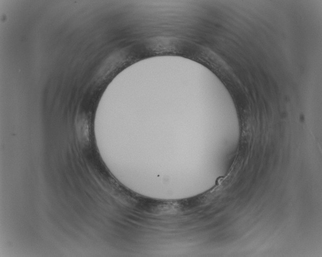 X0000073720124200608241241