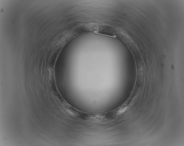 X0000073720125200608241241