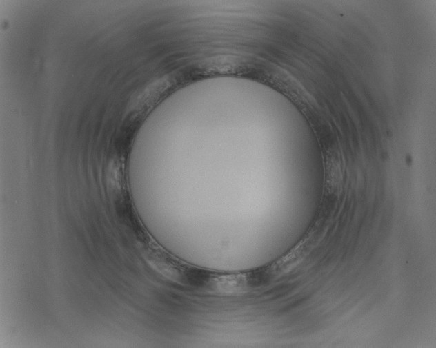 X0000073720126200608241241